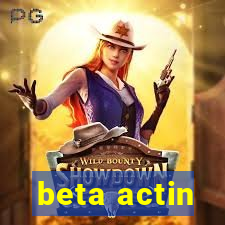 beta actin