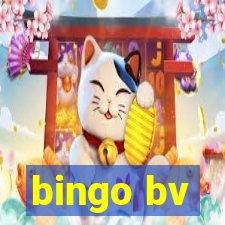 bingo bv