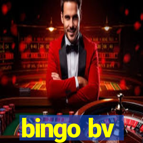 bingo bv