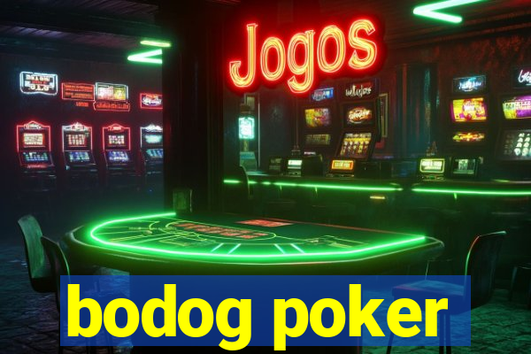 bodog poker