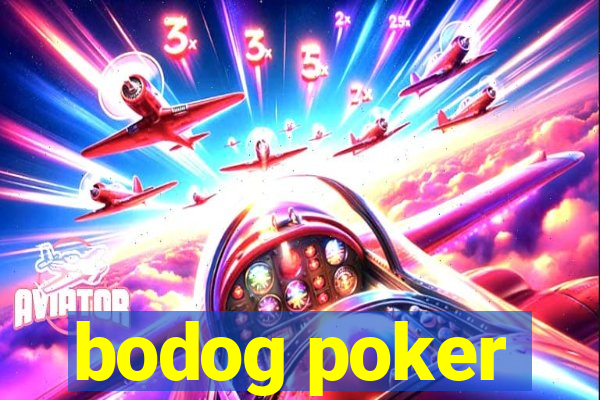 bodog poker