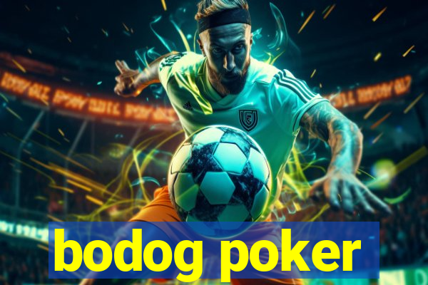 bodog poker