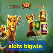 slots bigwin