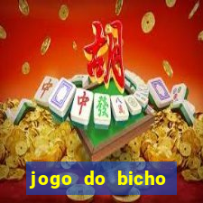 jogo do bicho aposta online