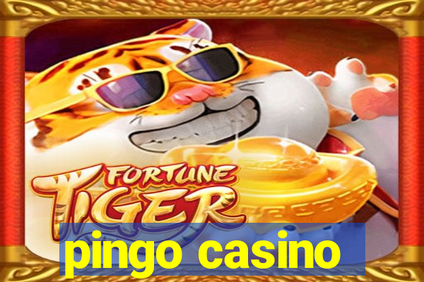 pingo casino