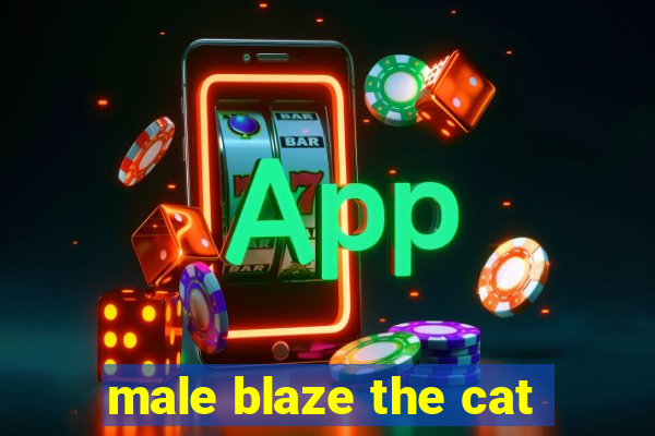 male blaze the cat