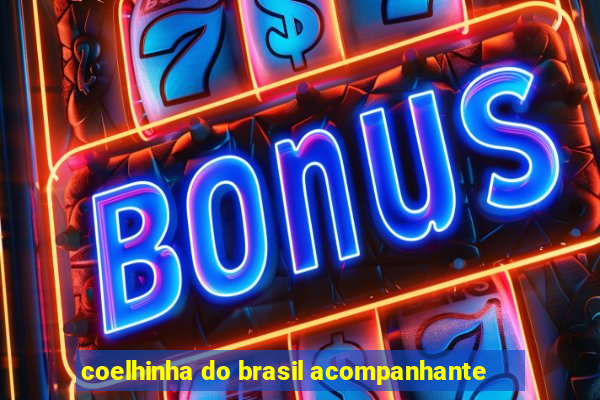 coelhinha do brasil acompanhante