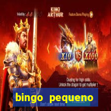 bingo pequeno cotolengo 2023