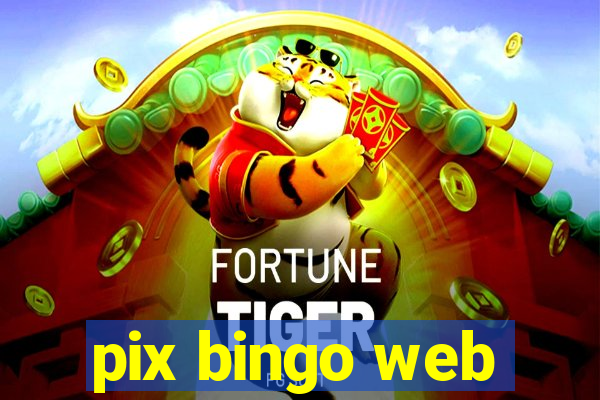 pix bingo web