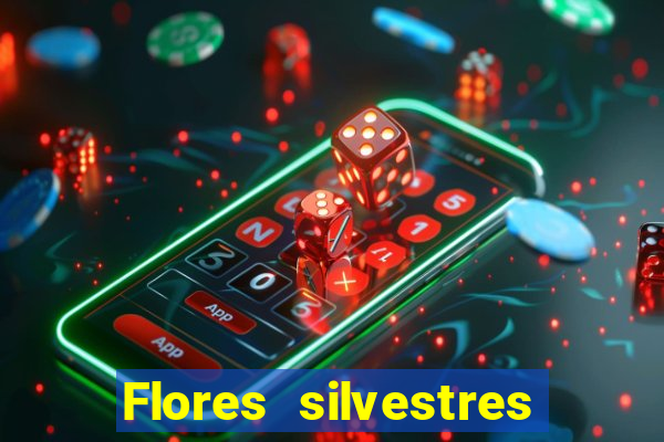 Flores silvestres brasileiras brasileiras flores silvestres nomes e imagens