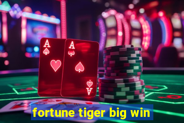 fortune tiger big win