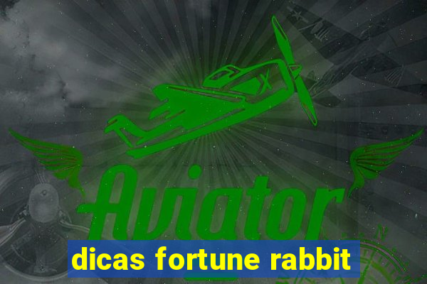 dicas fortune rabbit