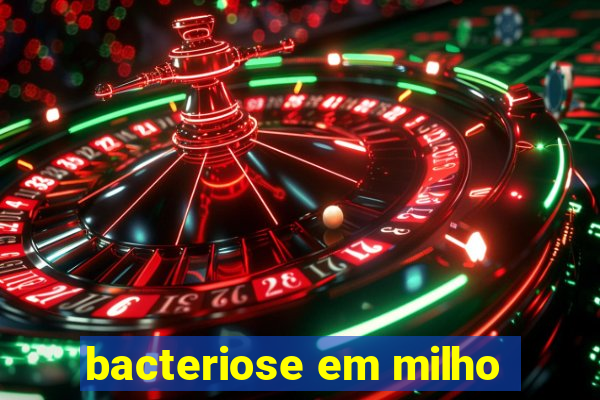 bacteriose em milho