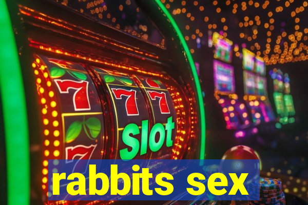 rabbits sex