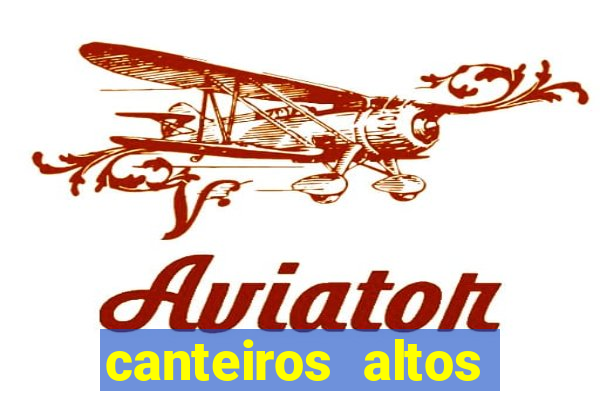 canteiros altos para horta