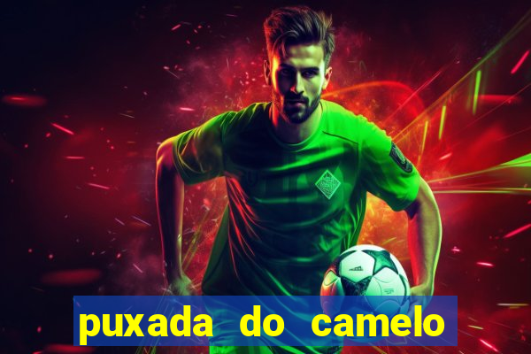 puxada do camelo no jogo do bicho