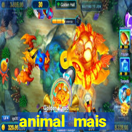 animal mais barulhento do mundo 230 decibeis