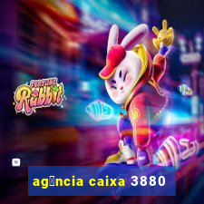 ag锚ncia caixa 3880