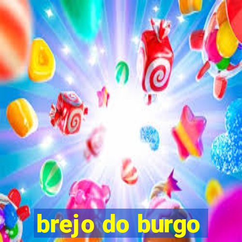 brejo do burgo