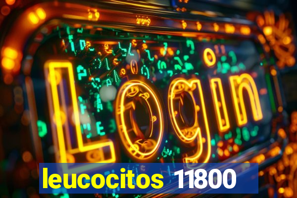 leucocitos 11800