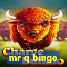 mr q bingo