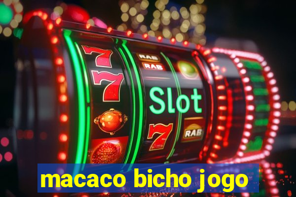 macaco bicho jogo