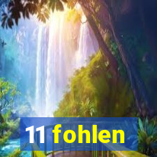 11 fohlen