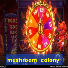 mushroom colony stardew valley