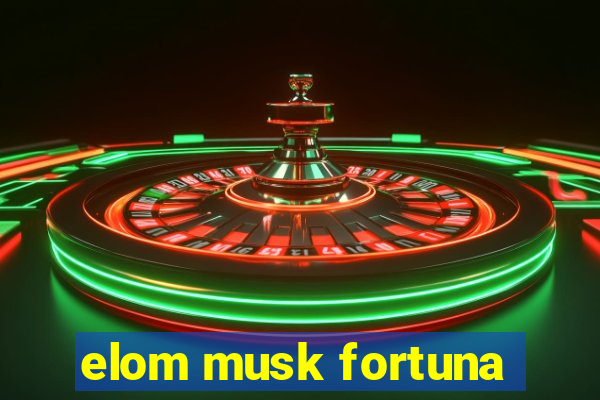 elom musk fortuna