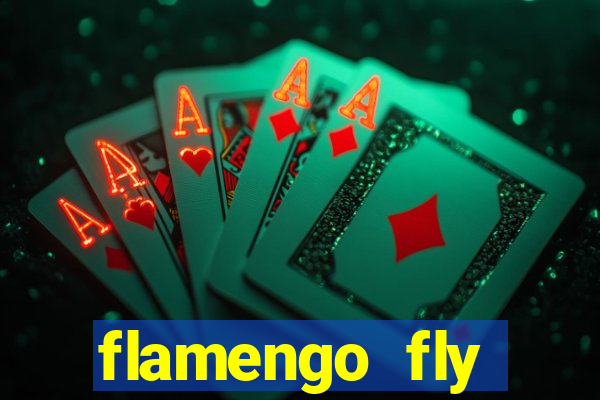 flamengo fly emirates ultimas noticias