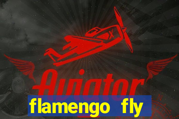 flamengo fly emirates ultimas noticias