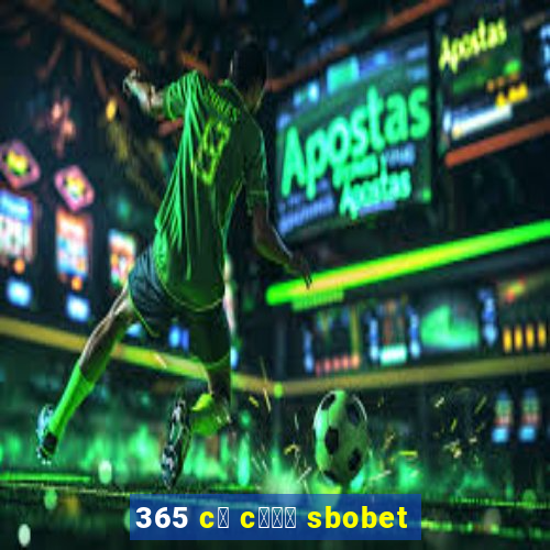 365 c谩 c瓢峄 sbobet