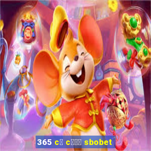 365 c谩 c瓢峄 sbobet