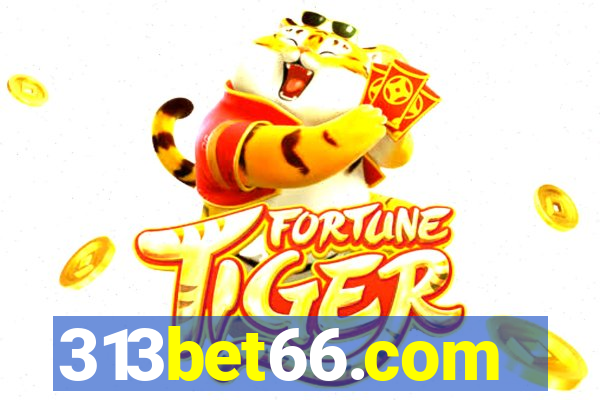 313bet66.com