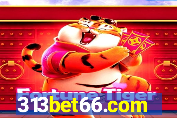 313bet66.com