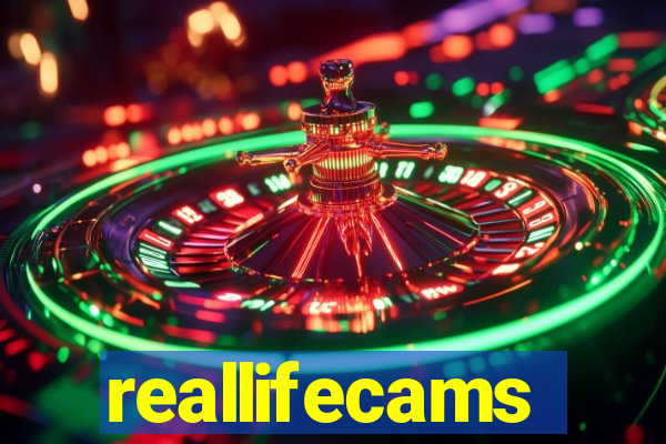 reallifecams