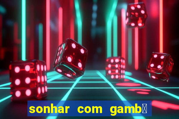 sonhar com gamb谩 jogo do bicho