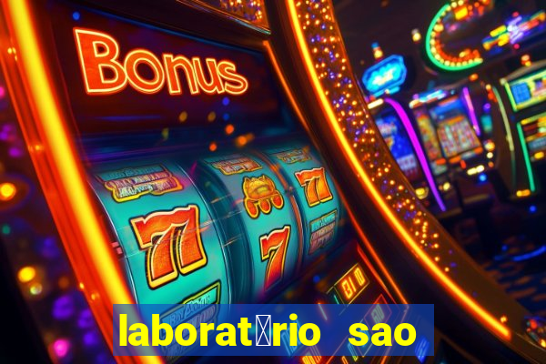 laborat贸rio sao paulo vilhena