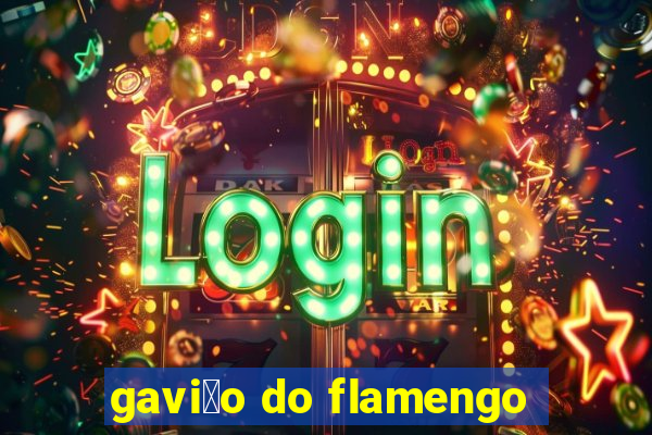 gavi茫o do flamengo