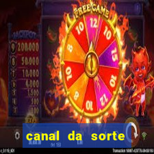 canal da sorte bingo de hoje