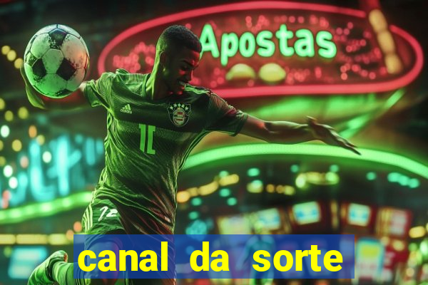 canal da sorte bingo de hoje