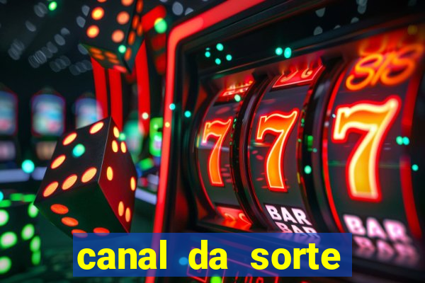 canal da sorte bingo de hoje