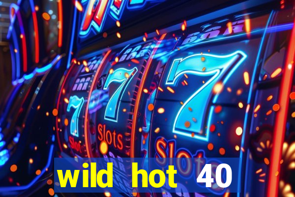 wild hot 40 christmas slot