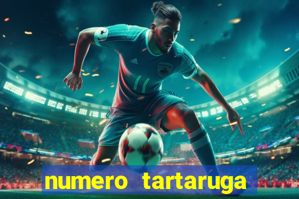 numero tartaruga jogo do bicho