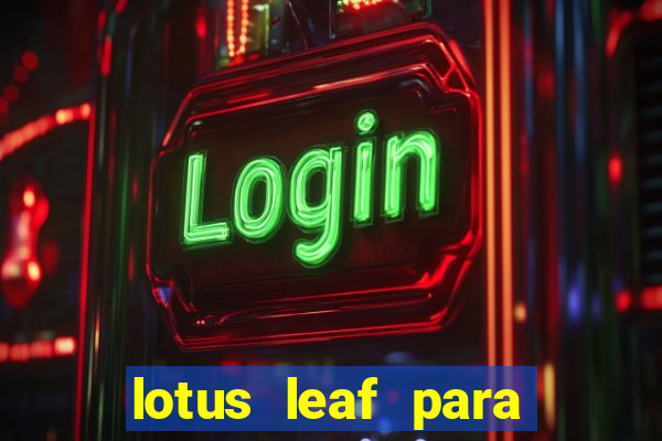 lotus leaf para que serve