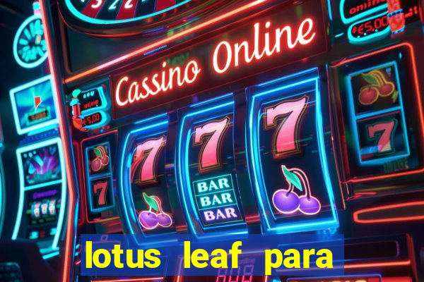 lotus leaf para que serve