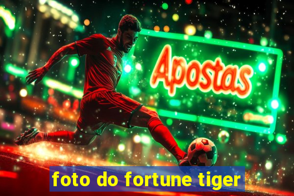 foto do fortune tiger