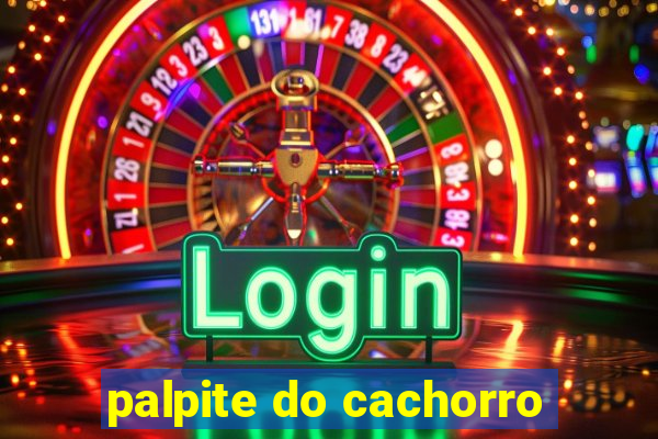 palpite do cachorro