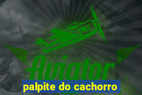 palpite do cachorro