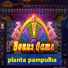 planta pampulha